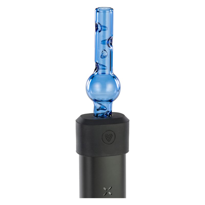 pax accessory adapter with globe glass 1